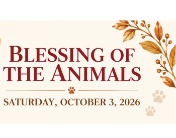 Blessing of the animals