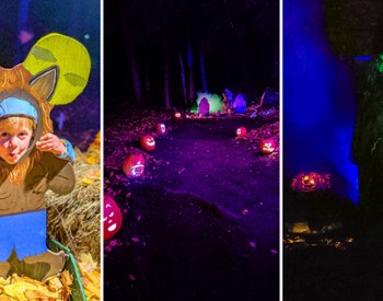 Scenes from the Spooky Trail at Artisanal Brew Works in Saratoga Springs, including a child in costume, illuminated Halloween displays, and a glowing wooded trail at night.