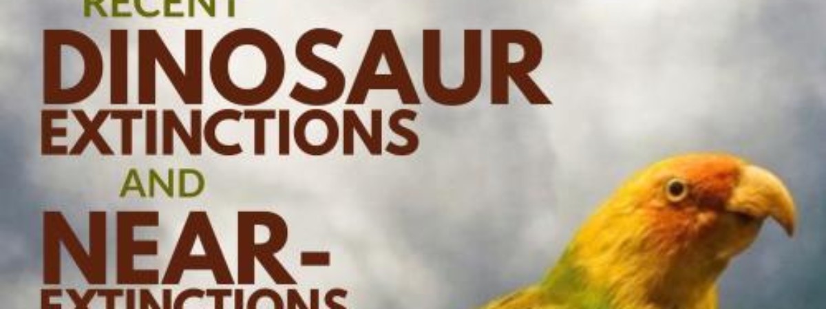 Image of a multicolored parrot with text in the forefront reading: Recent Dinosaur Extinctions and Near-extinctions