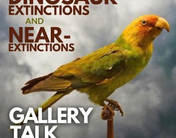 Image of a multicolored parrot with text in the forefront reading: Recent Dinosaur Extinctions and Near-extinctions
