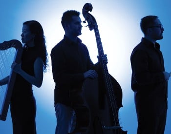 Rock City Falls Trio