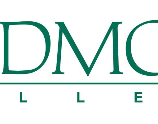 Skimore Logo