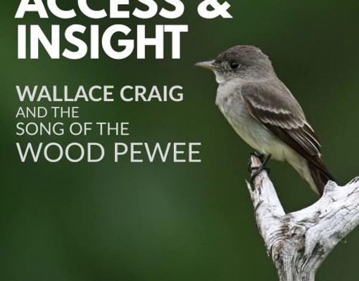 Image of a live pewee bird on a branch with text to the right stating: Wallace Craig and the Song of the Woood Pewee