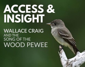 Image of a live pewee bird on a branch with text to the right stating: Wallace Craig and the Song of the Woood Pewee