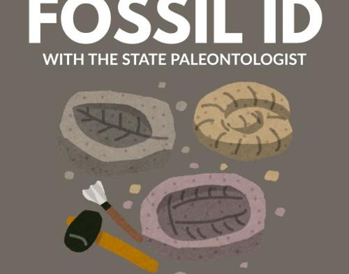 Bold text reading: Fossil ID with the State Paleontologist