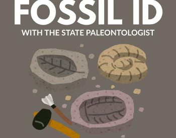 Bold text reading: Fossil ID with the State Paleontologist