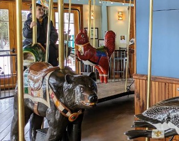adirondack carousel