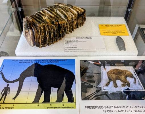warren county historical society exhibit