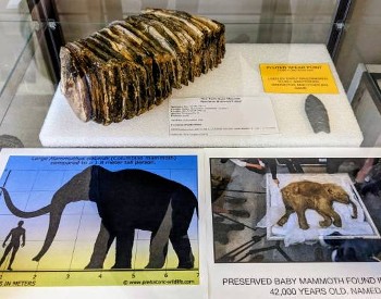warren county historical society exhibit