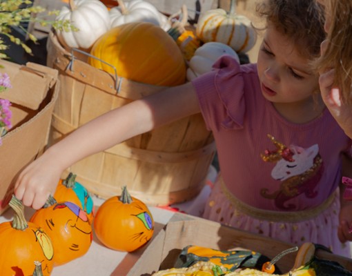 Pumpkins