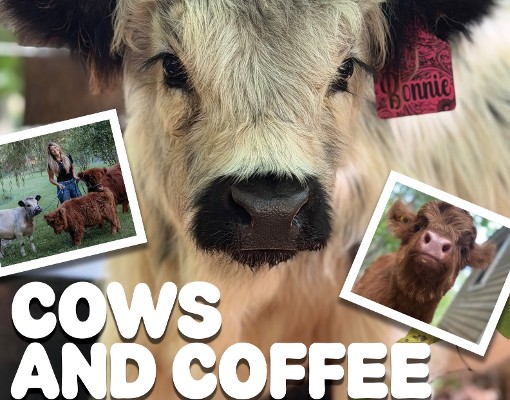 Stinky's Coffee Co. Cows and Coffee event poster