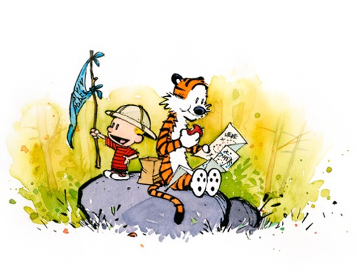 Calvin and Hobbes Explorers