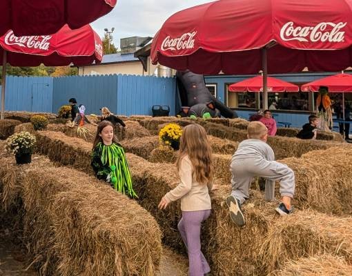 hay bale maze