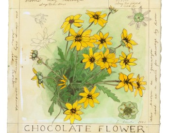 A drawing of a yellow flower