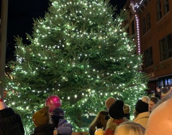 large christmas tree outdoors