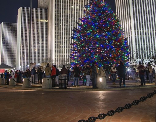lit holiday tree in city