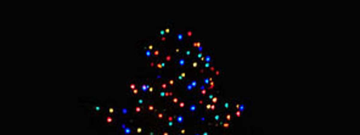 a large lit Christmas tree
