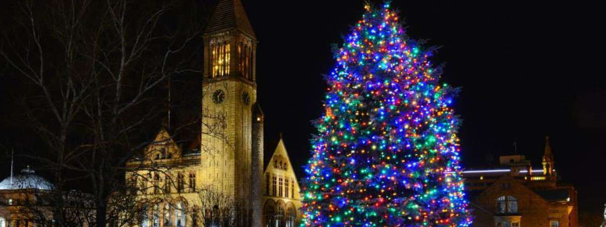 a large lit Christmas tree outside Albany City Hall