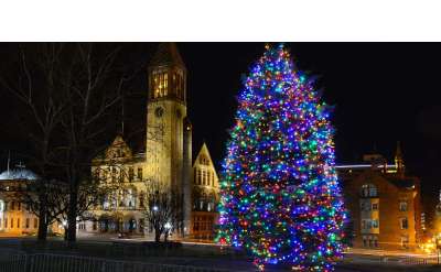 a large lit Christmas tree outside Albany City Hall