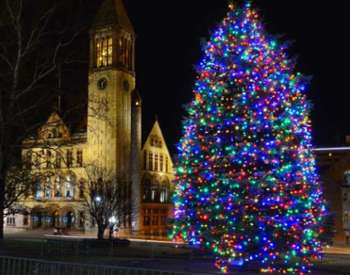 a large lit Christmas tree outside Albany City Hall