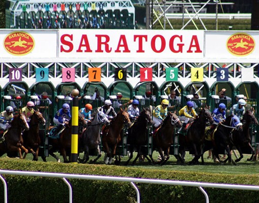 race horses lined up at the starting gate at saratoga