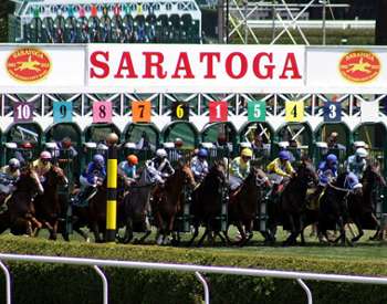 race horses lined up at the starting gate at saratoga