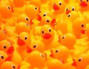 rubber ducks
