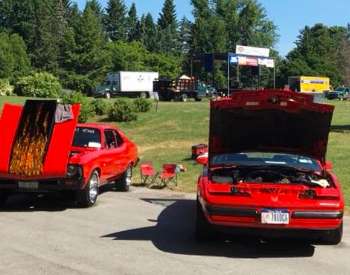 classic cars on display in a park