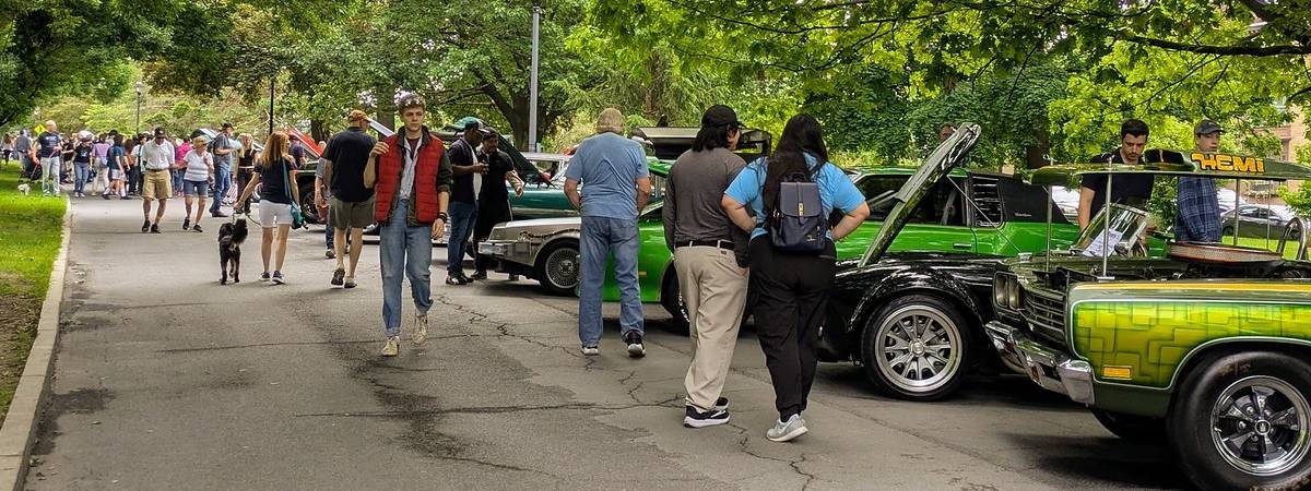 people look at cars
