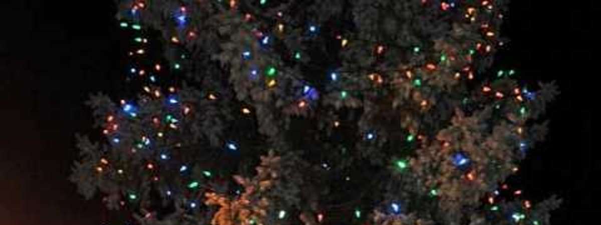 Santa in front of a huge lit tree