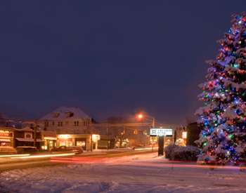 a large lit Christmas tree outside