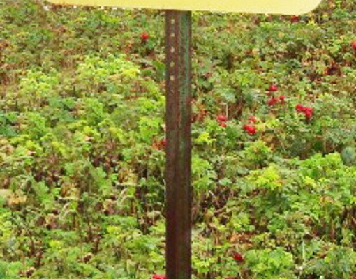 a garage sale bus stop sign