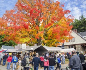 garage sale attendees and fall foliage