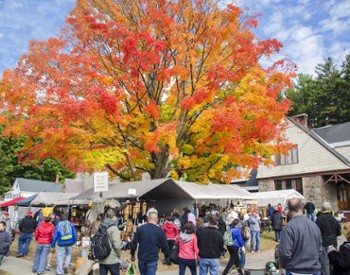 garage sale attendees and fall foliage