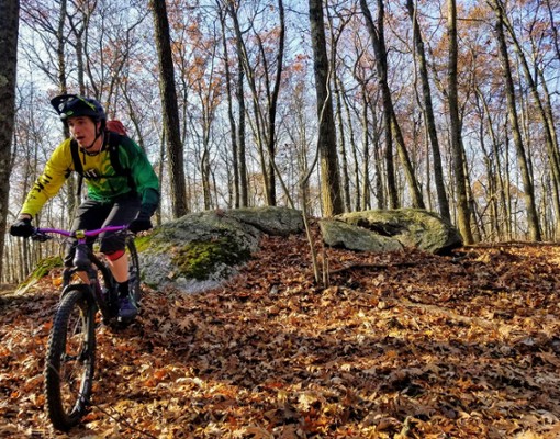 man on mountain bike in woods