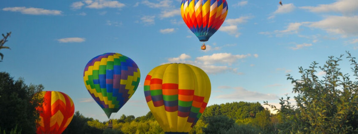 hot air balloons in the air