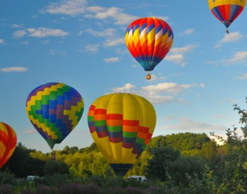 hot air balloons in the air
