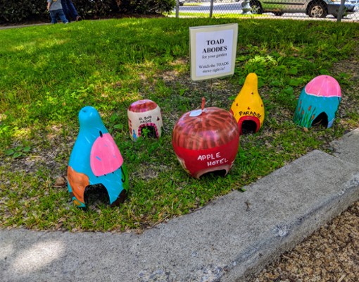 toad abodes
