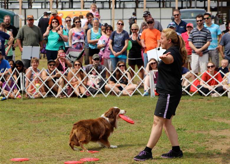 2021 Saratoga County Fair - Tuesday, Jul 20, 2021 until Sunday, Jul 25 ...