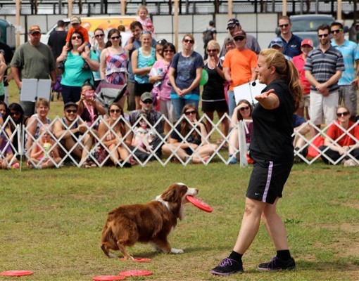 young woman with dog in show