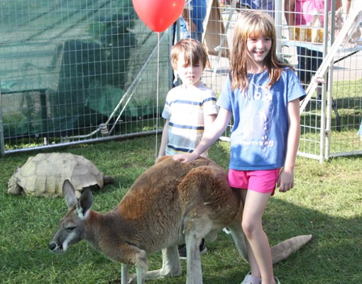 kids with kangaroo