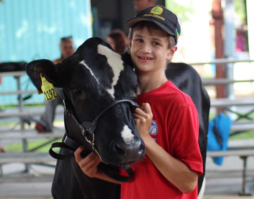 boy with a cow