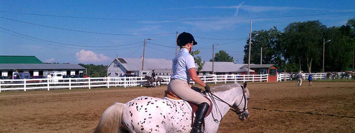 person riding a white horse with black spots