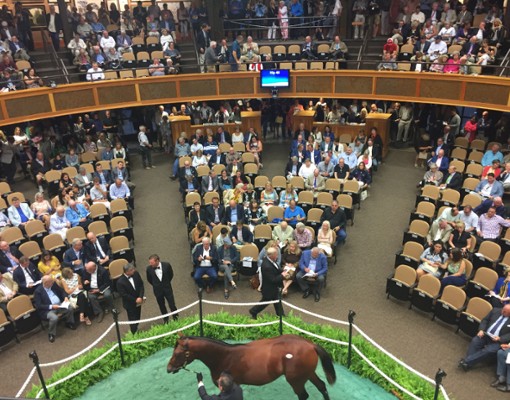 horse auction room