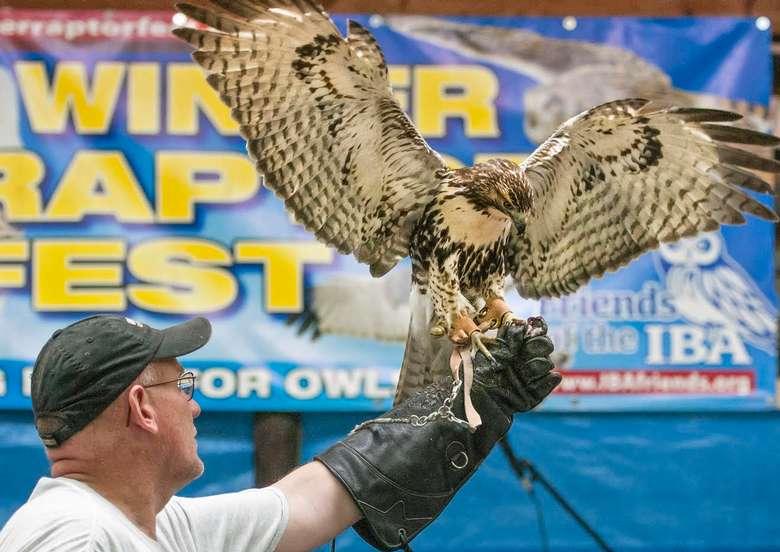 SUSPENDED INDEFINITELY Winter Raptor Fest Sunday, Oct 18, 2020 The