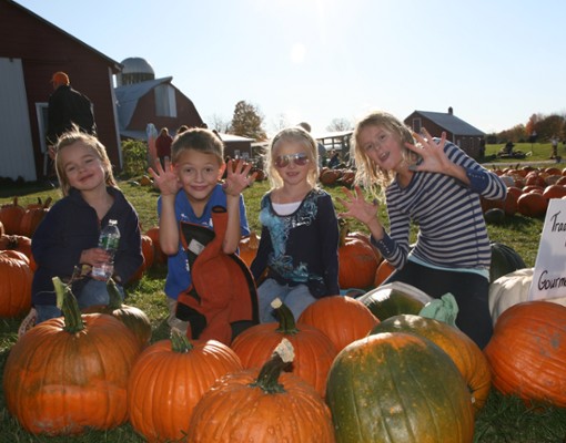 Kids in a pumpkin patch
