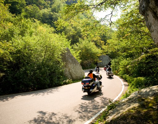 people on motorcycles driving on a curvy road