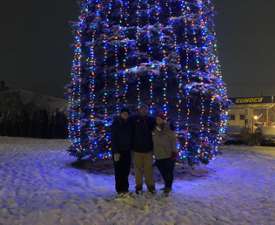 lit up Christmas tree