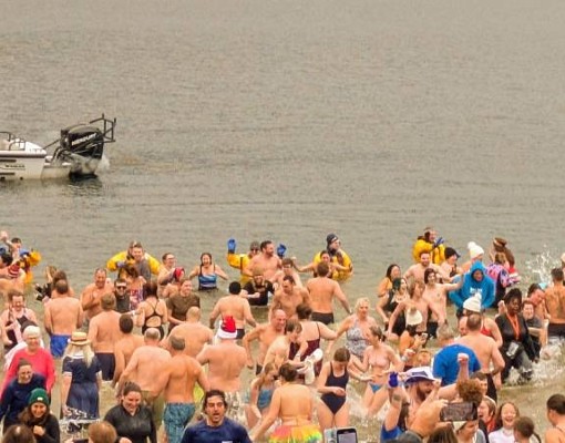 polar plunge