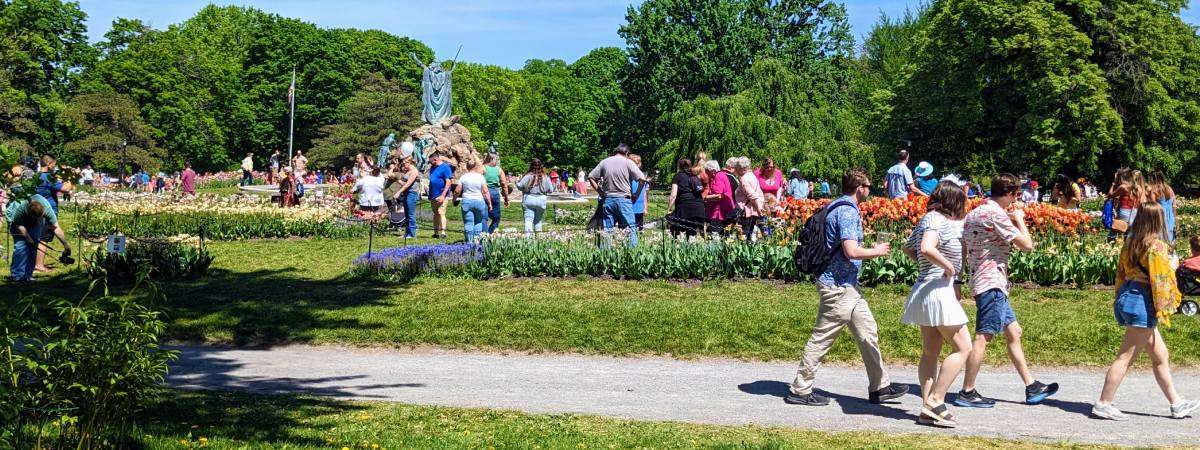 crowd at tulip festival in albany